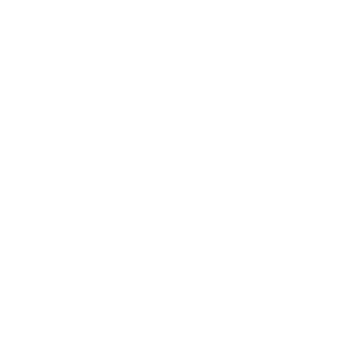 Influencer marketing assets