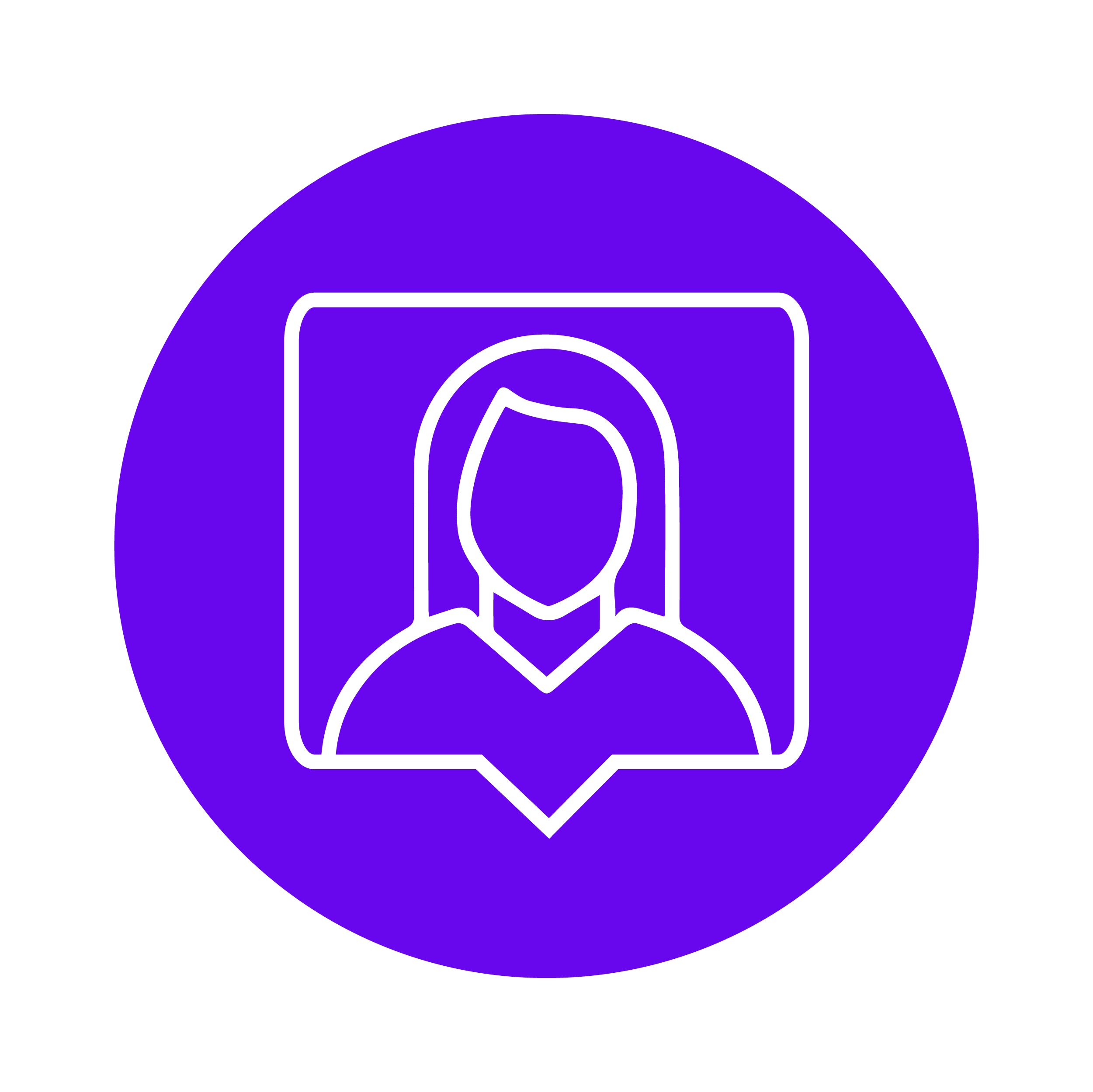 ceo icon