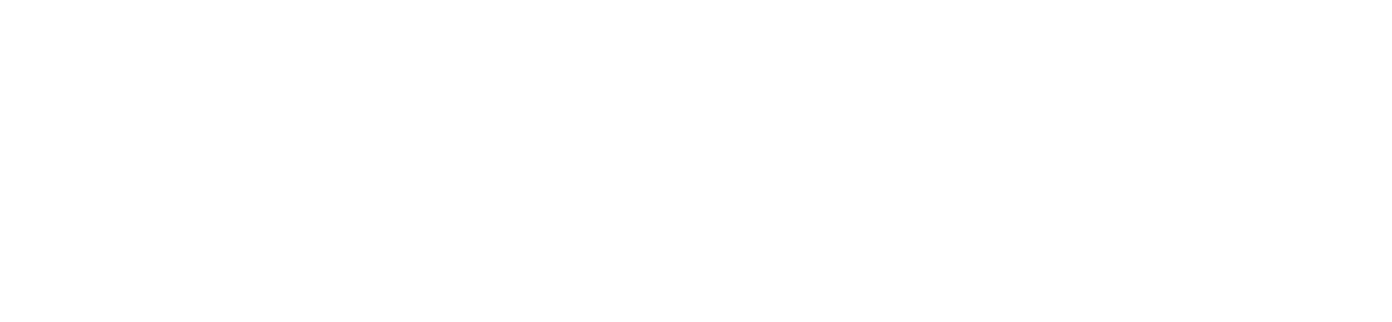 AweInt_wordmark_white